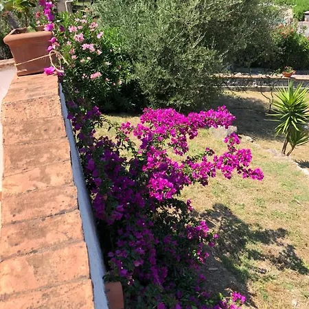 My Paradise * Scario